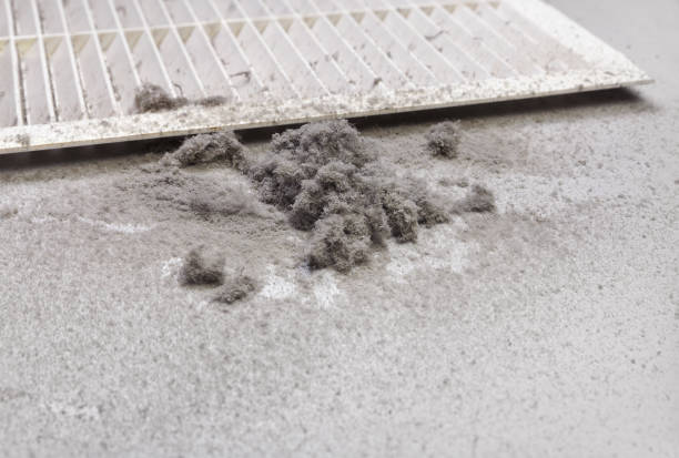 Ventilation Cleaning Services in MN