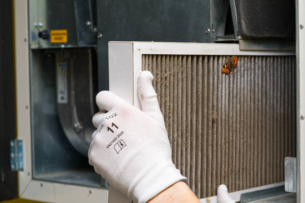 Best Air Duct Mold Removal  in Owatonna, MN