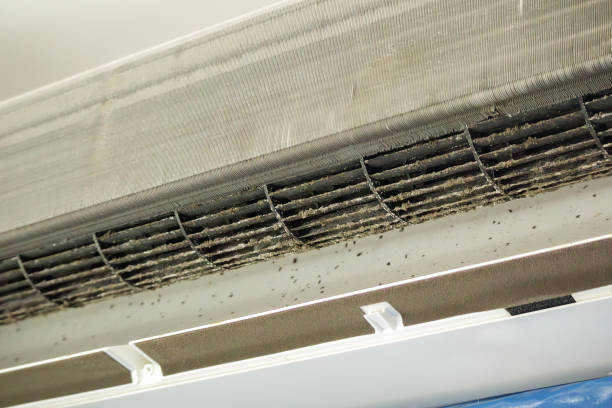 Best Commercial Air Duct Cleaning  in Owatonna, MN